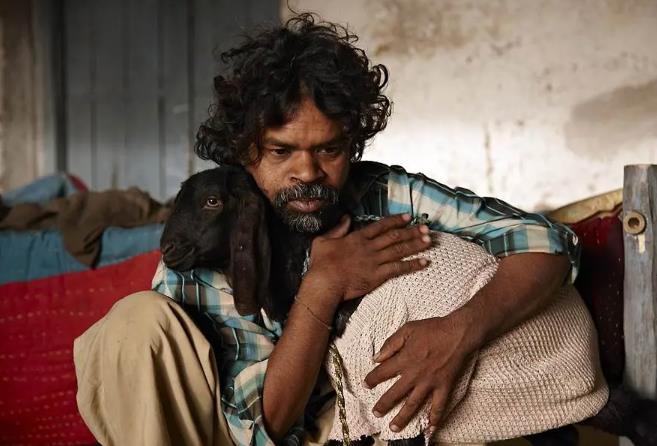 印度揭露社会黑暗的大尺度高评分电影10部