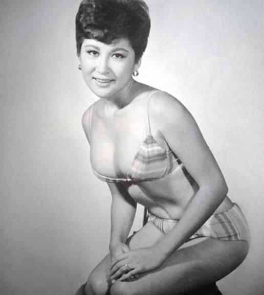 丁佩的人生经历：丁佩年轻时的最美照片