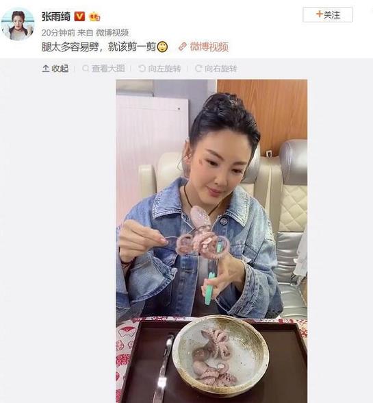 张雨绮回应八爪鱼事件：是我干的，怎么了？