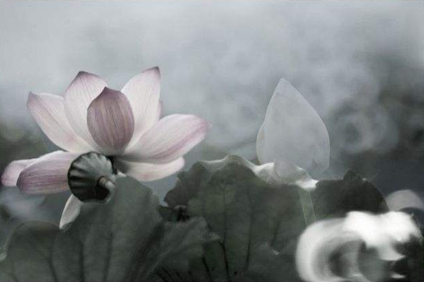 禅宗怎样修？从心性起修或是从六根入手有何不同？