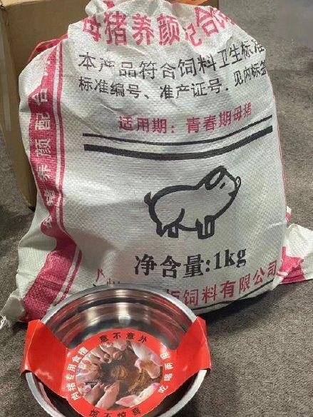 宁静给节目组送猪饲料：宁静在乘风破浪的姐姐们中的地位