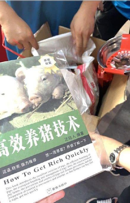 宁静给节目组送猪饲料：宁静在乘风破浪的姐姐们中的地位