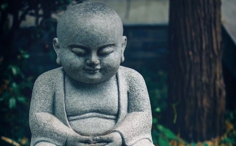 如源法师：五根是指什么？色法之五根