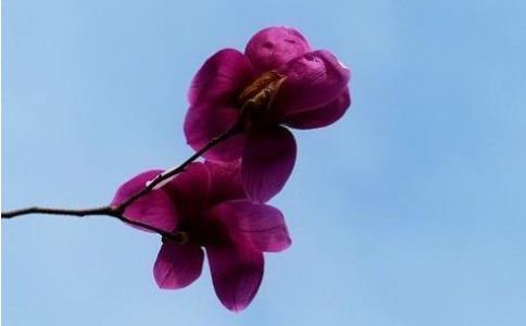 觉火法师：在家居士受菩萨戒以后，认为正淫可以就不必断淫吗？