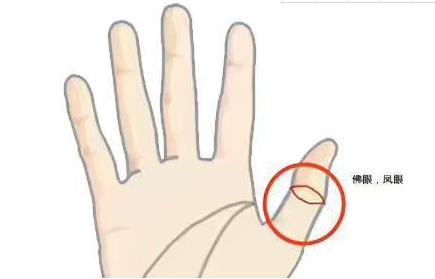 佛眼纹没有闭合是佛眼吗