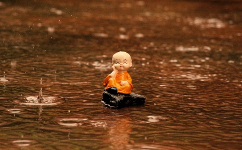 灯云法师：为什么说一切法皆是佛法？