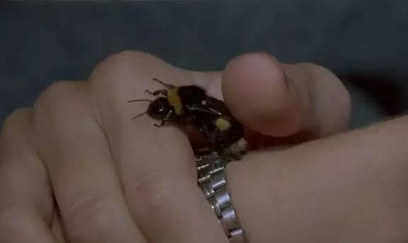 詹妮弗康纳利大尺度剧照