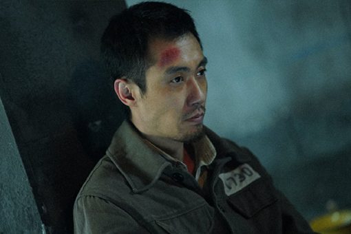 局中人苦菊是什么组织 伍元朴只是苦菊其中一员