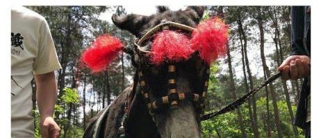 陈情令导演发文疑为肖战发声