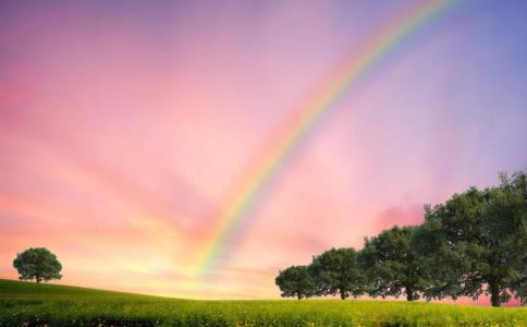 觉火法师：菩提心是如何分类的？