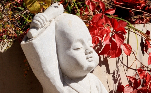 弘恩法师：八识和佛性是什么关系？