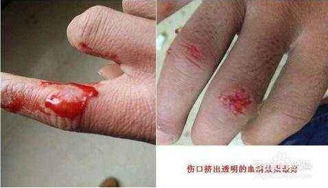 杨惠妍私人生活照片：杨惠妍个人资料