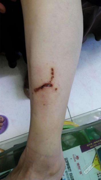 杨惠妍私人生活照片：杨惠妍个人资料