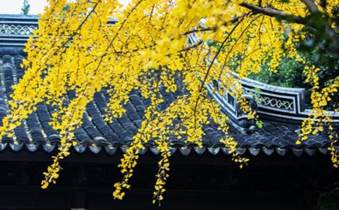 华振法师：寺庙早上去更好吗？晚上去寺院会冒犯佛菩萨吗？