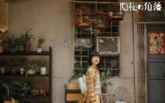 隐秘的角落欣欣存在吗 普普要30万真的是给弟弟治病吗