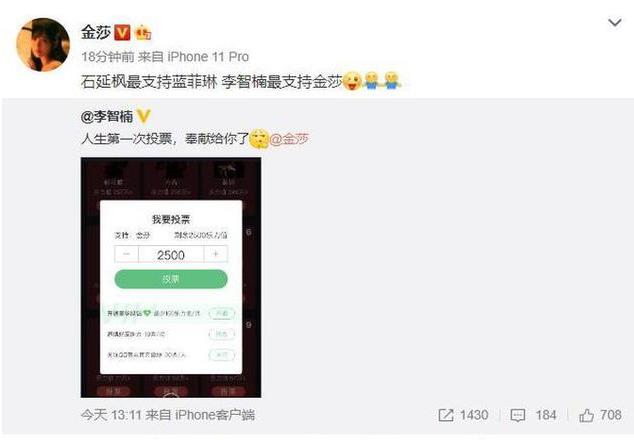 李智楠给金莎投票：十八岁的天空再次浮现在眼前