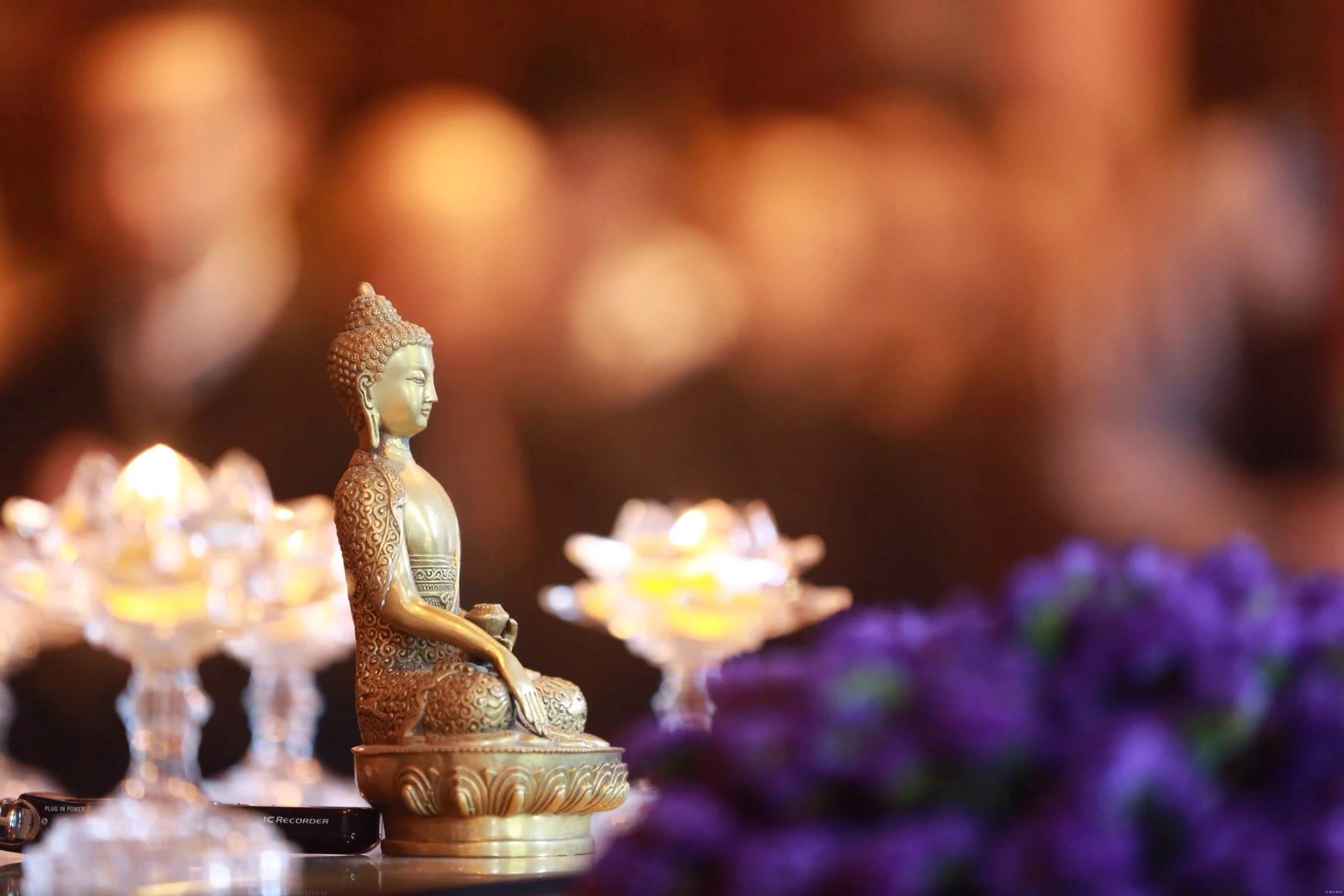 供养和布施有什么区别？