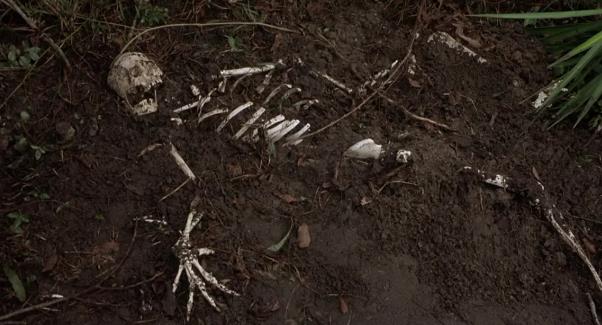 好看刺激的恐怖惊悚片十部：全球高分惊悚片排行