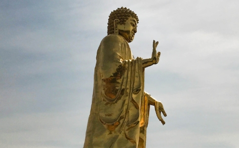 佛欣法师：念佛人为什么还会生病？如何面对疾病？