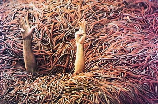 好看刺激的恐怖惊悚片十部：全球高分惊悚片排行