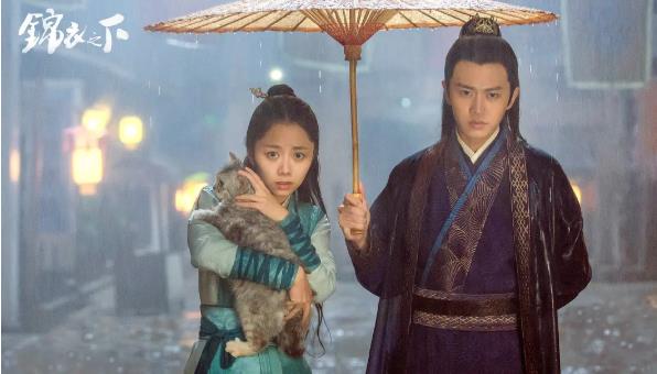 电视剧排行榜2020前十名：2020年爆款电视剧高分榜