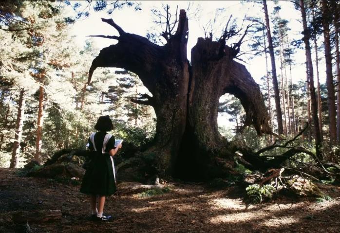 冒险奇幻的电影有哪些：冒险奇幻电影推荐10部