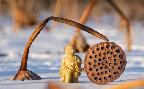 畅怀法师：日常生活中如何运用无分别心？