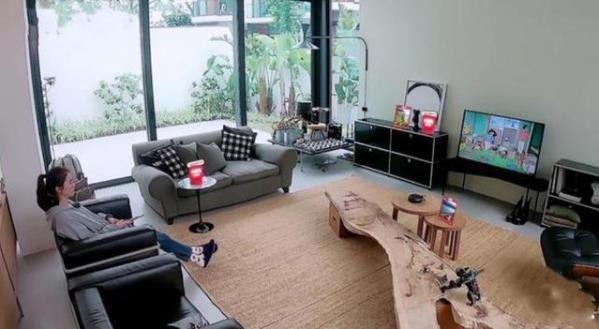 港媒曝章子怡北京2亿豪宅内景