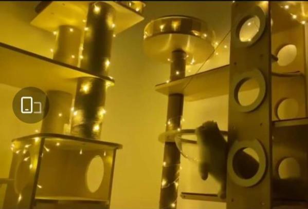 港媒曝章子怡北京2亿豪宅内景