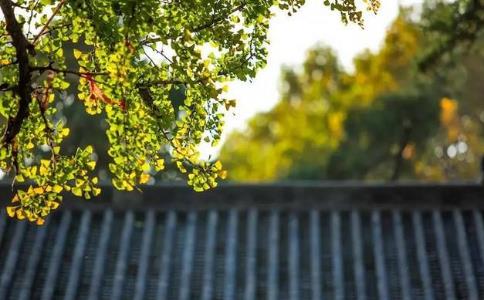 觉火法师：攀缘是指六根对外界的执着吗？