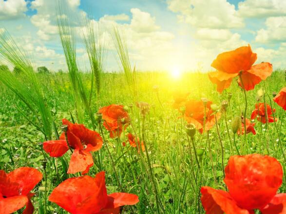 对生活心态感悟的句子