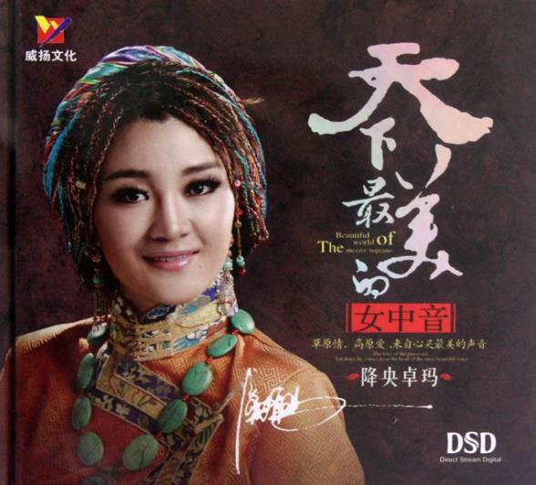 降央卓玛最好听的30首歌曲