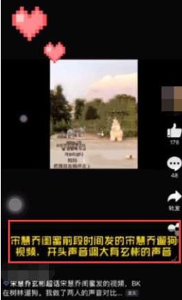 网友偶遇玄彬宋慧乔散步遛狗:这网友真是分析高手 网友偶遇玄彬宋慧乔散步遛狗:这网友真是分析高手