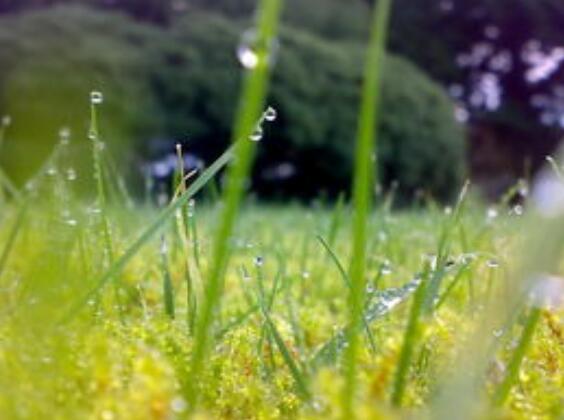 表达心情沉重句子