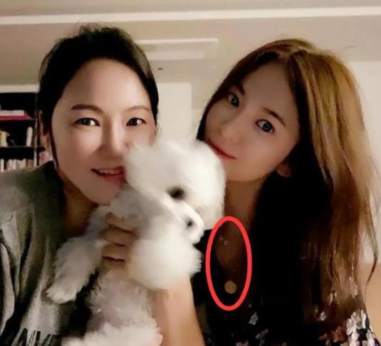 网友偶遇玄彬宋慧乔散步遛狗:这网友真是分析高手 网友偶遇玄彬宋慧乔散步遛狗:这网友真是分析高手