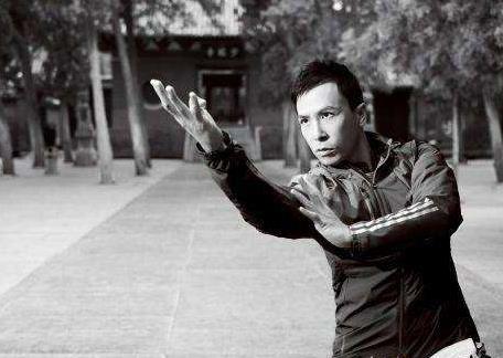 甄子丹的功夫能实战吗？甄子丹实战能力怎么样