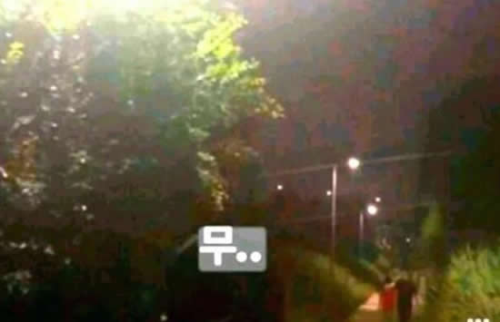 宋慧乔方否认与玄彬复合 宋慧乔深夜与玄彬遛狗散步是怎么回事