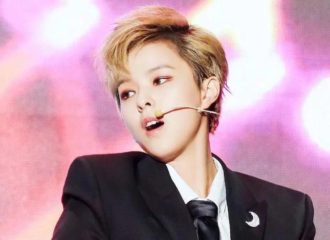 杨芸晴来中国发展经历？杨芸晴为什么会中文