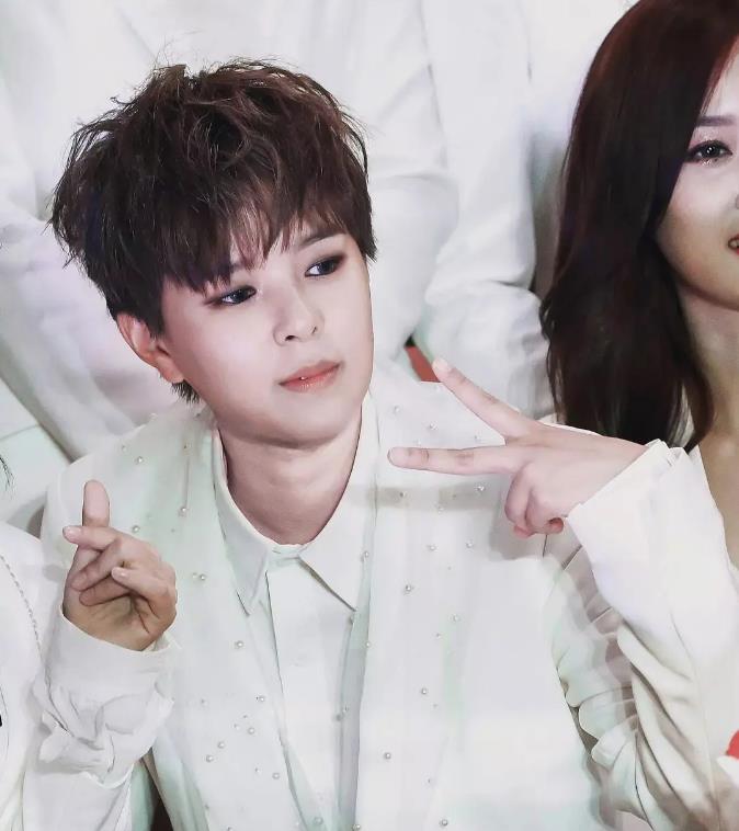 杨芸晴来中国发展经历？杨芸晴为什么会中文