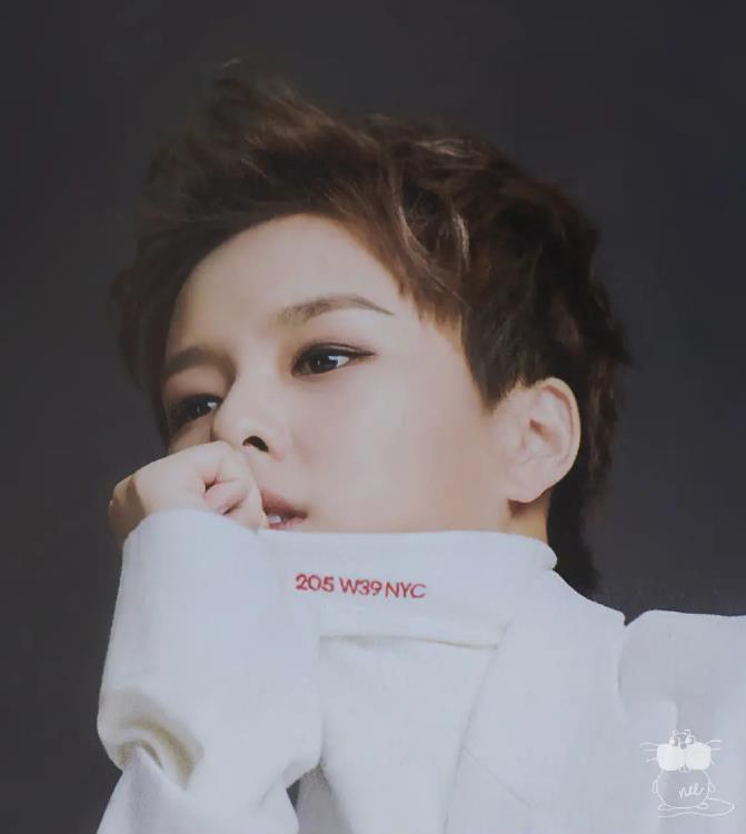 杨芸晴来中国发展经历？杨芸晴为什么会中文