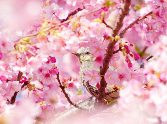 友情伤心感慨的句子