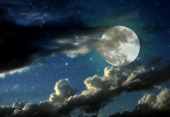 赞扬友情的句子