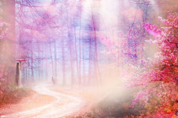 感人肺腑的友情句子