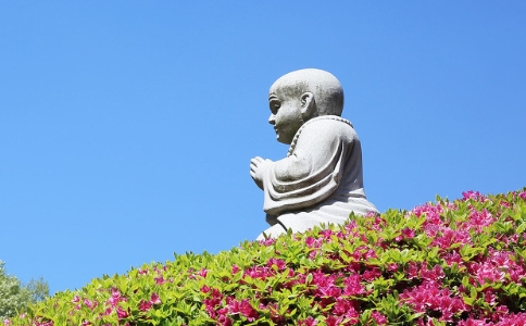 明朗法师:见利不求沾分是什么意思? 明朗法师:见利不求沾分是什么意思?