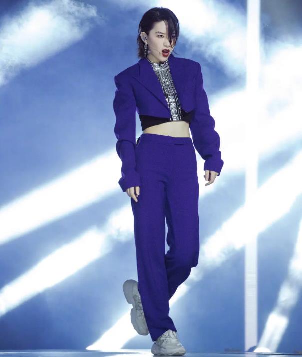 李斯丹妮当初怎么出道的：李斯丹妮为什么不火