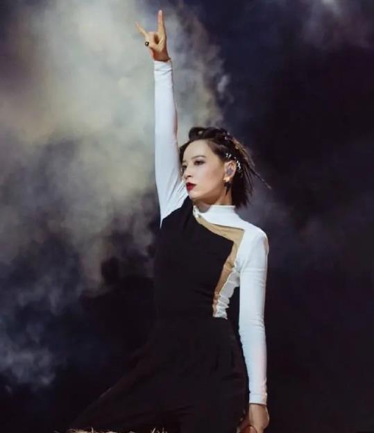 李斯丹妮当初怎么出道的：李斯丹妮为什么不火