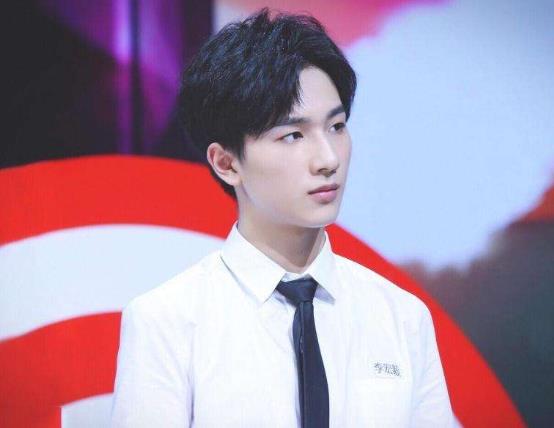 成毅和李宏毅长的好像：成毅李宏毅是什么关系