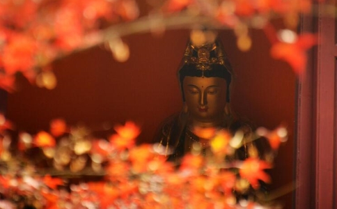 来果禅师：利行是什么意思？菩萨的利行之道