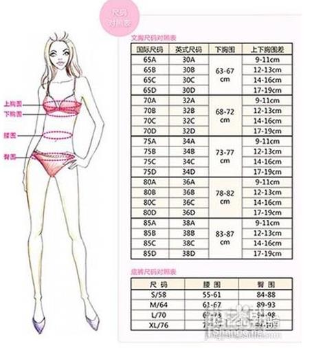 女人a罩杯到f的照片:真人版a到f罩杯的大小示意图 女人a罩杯到f的照片:真人版a到f罩杯的大小示意图