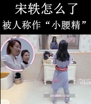 宋轶为什么被叫做小腰精：宋轶旗袍照多好看